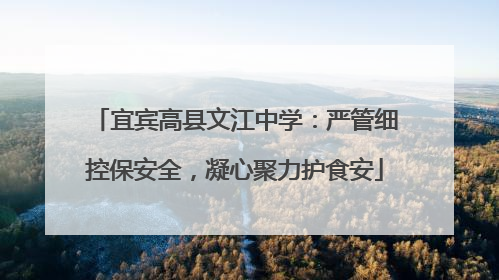 宜宾高县文江中学：严管细控保安全，凝心聚力护食安